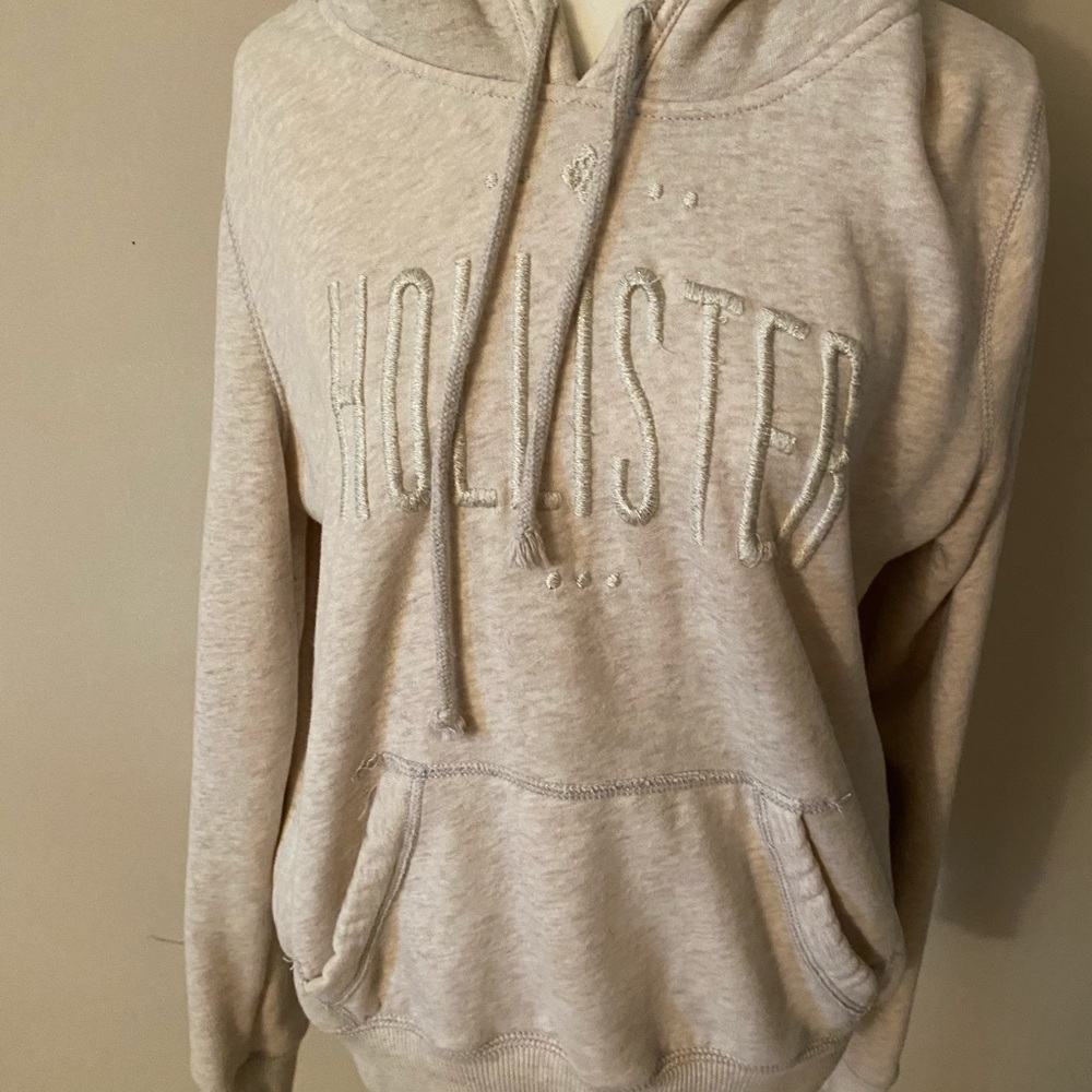 HOLLISTER hoodie